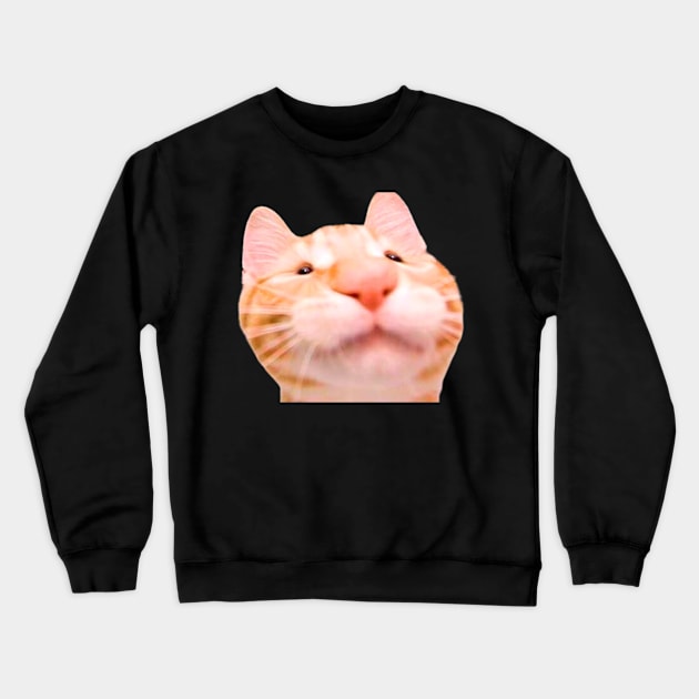 funny meh cat Crewneck Sweatshirt by ezzobair